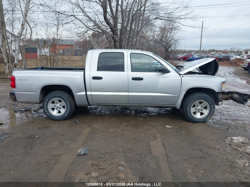 2011 Dodge Dakota VIN: 1D7RW3GKXBS686978 Lot: 12569610