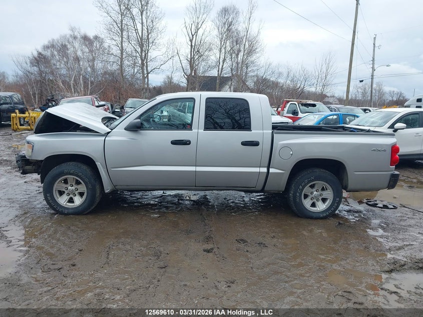 2011 Dodge Dakota VIN: 1D7RW3GKXBS686978 Lot: 12569610