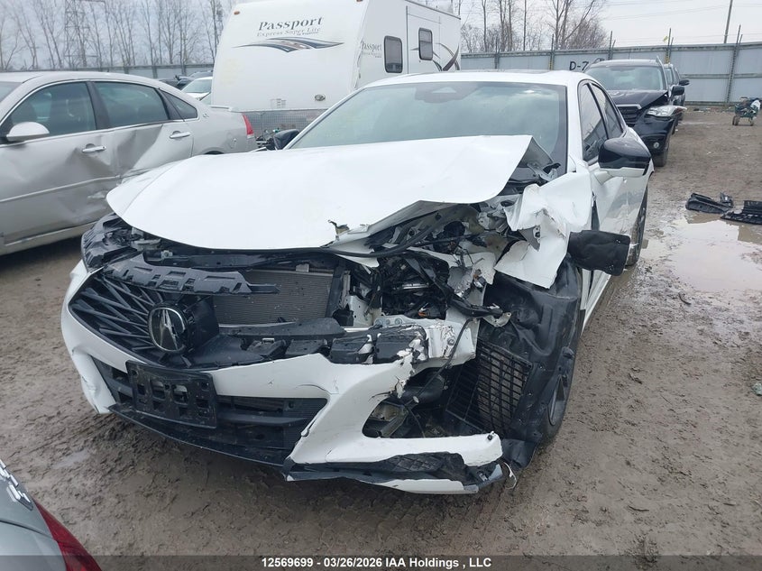 2024 Acura Tlx A-Spec VIN: 19UUB6F54RA800603 Lot: 12569699