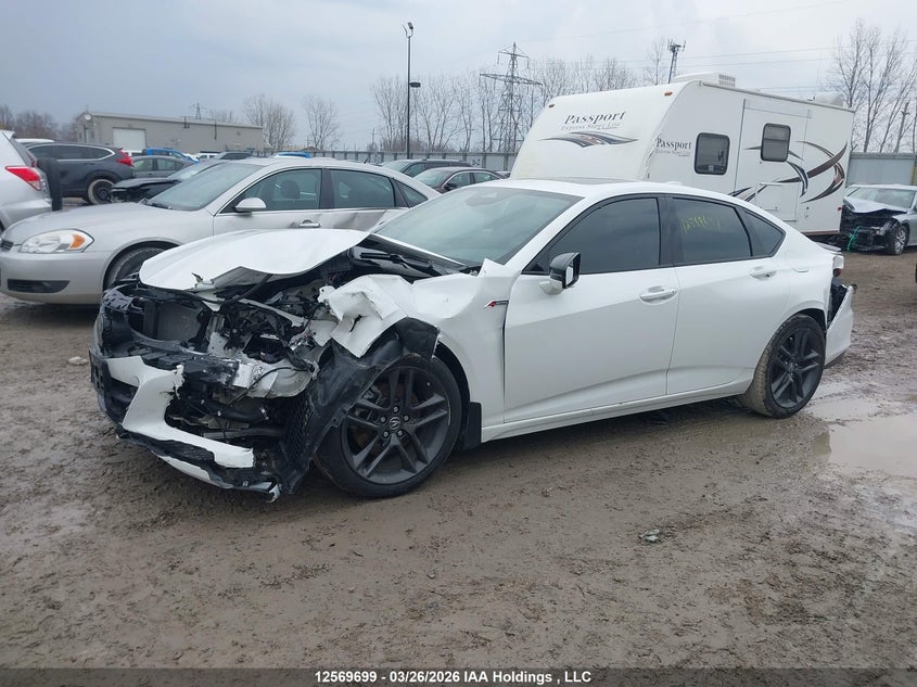 2024 Acura Tlx A-Spec VIN: 19UUB6F54RA800603 Lot: 12569699