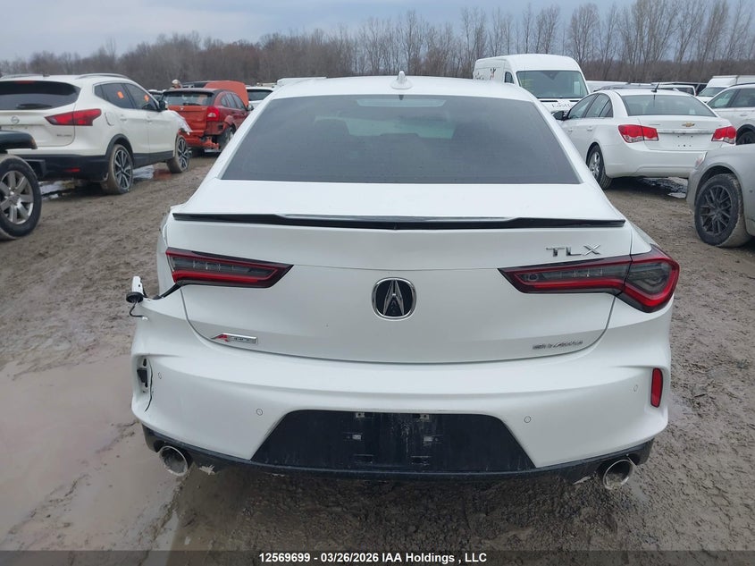 2024 Acura Tlx A-Spec VIN: 19UUB6F54RA800603 Lot: 12569699