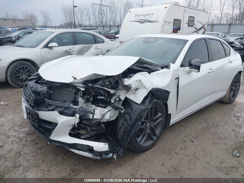 2024 Acura Tlx A-Spec VIN: 19UUB6F54RA800603 Lot: 12569699