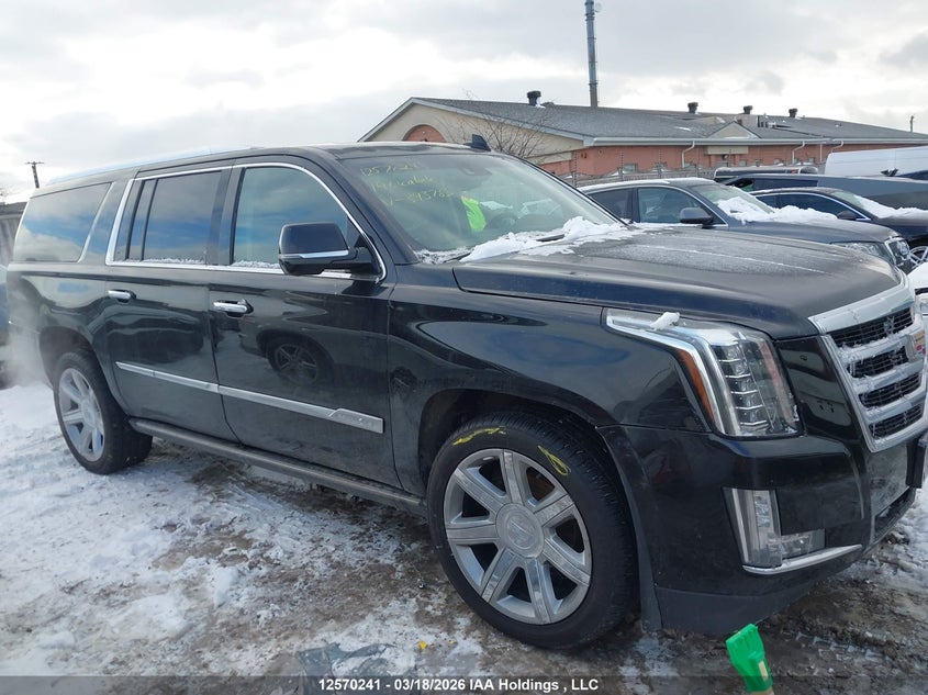 2019 Cadillac Escalade Esv VIN: 1GYS4JKJ5KR393785 Lot: 12570241
