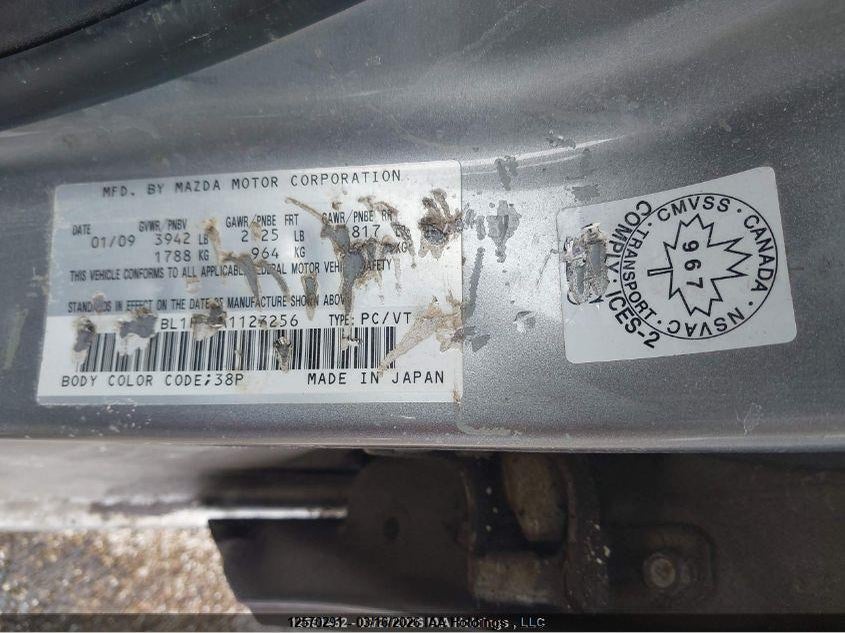 2010 Mazda 3 Mazda VIN: JM1BL1HF9A1123256 Lot: 12570291