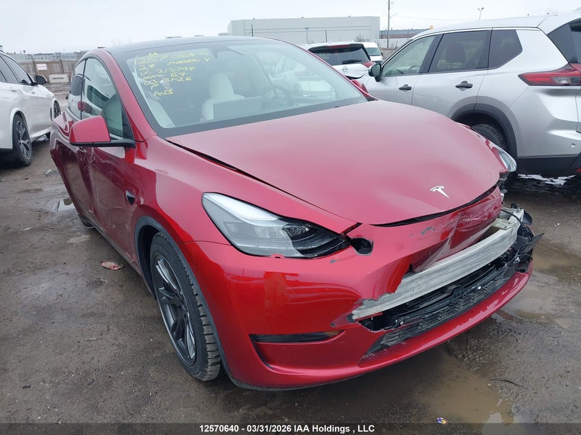 2024 TESLA MODEL Y