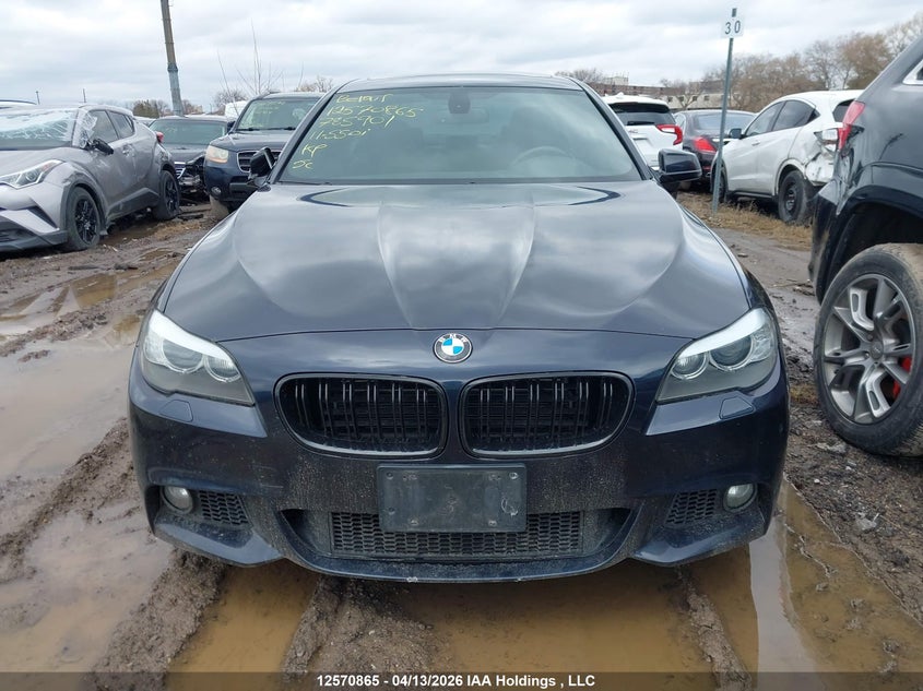 2011 BMW 550I xDrive VIN: WBAFU9C53BC785901 Lot: 12570865