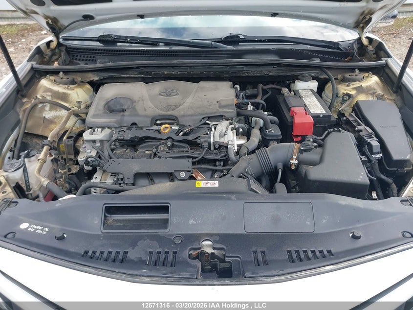 2020 Toyota Camry Xse VIN: 4T1K61AK0LU356504 Lot: 12571316