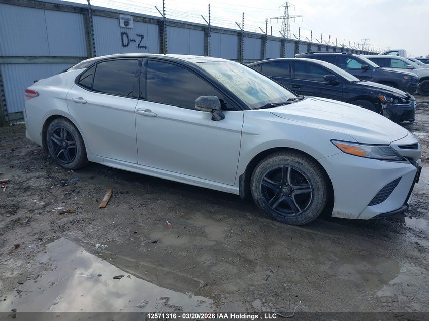 2020 Toyota Camry Xse VIN: 4T1K61AK0LU356504 Lot: 12571316