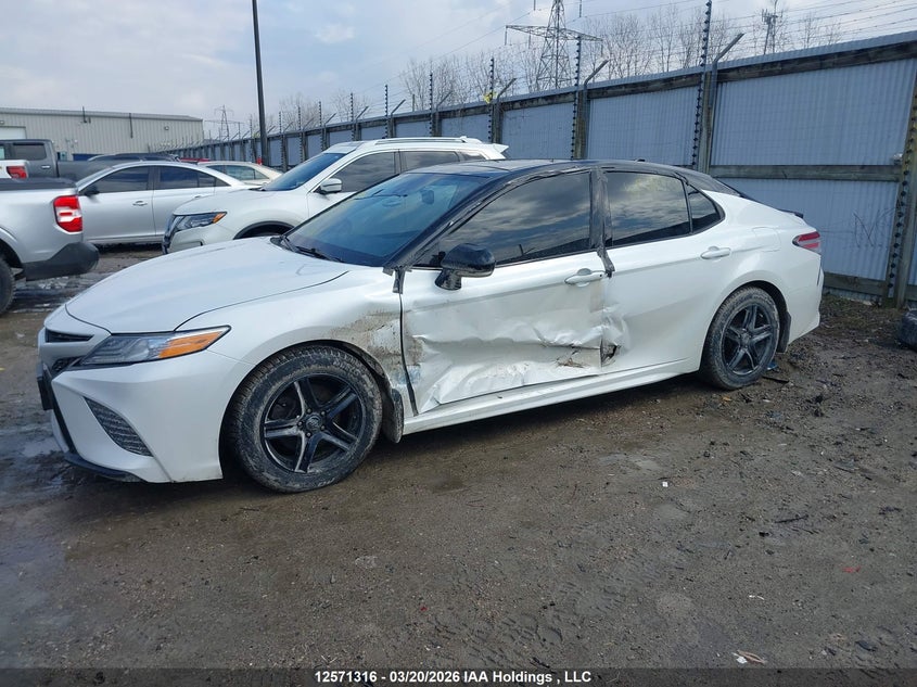2020 Toyota Camry Xse VIN: 4T1K61AK0LU356504 Lot: 12571316