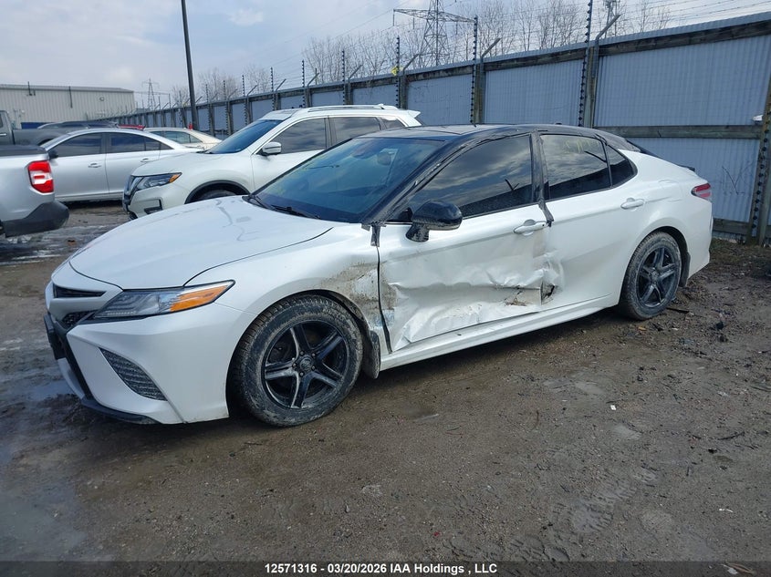 2020 Toyota Camry Xse VIN: 4T1K61AK0LU356504 Lot: 12571316