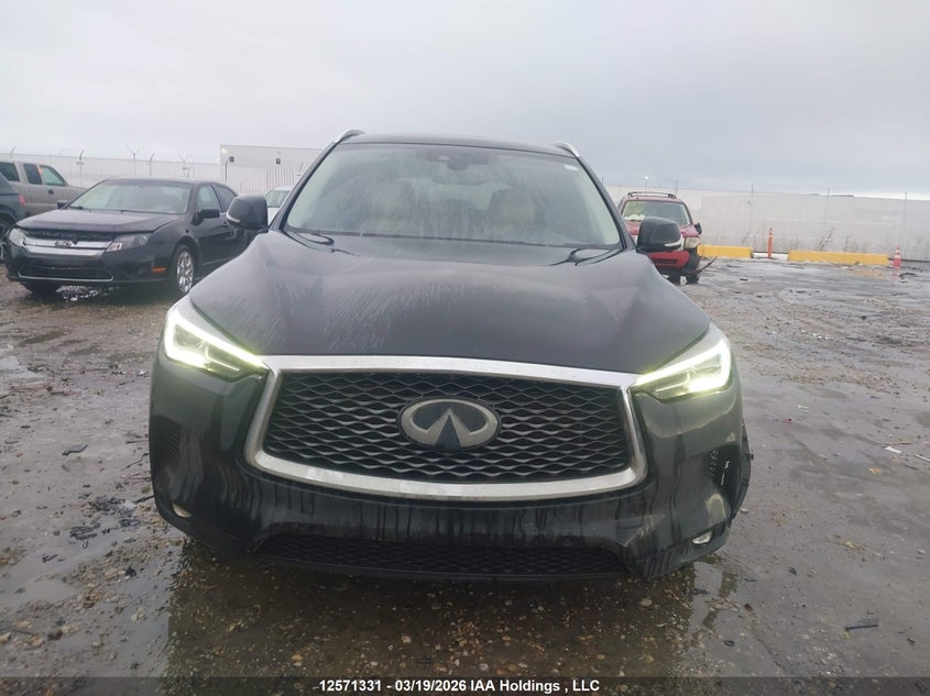 2019 Infiniti Qx50 VIN: 3PCAJ5M38KF143043 Lot: 12571331