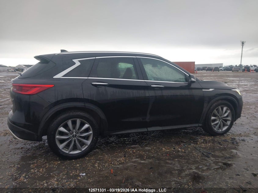 2019 Infiniti Qx50 VIN: 3PCAJ5M38KF143043 Lot: 12571331