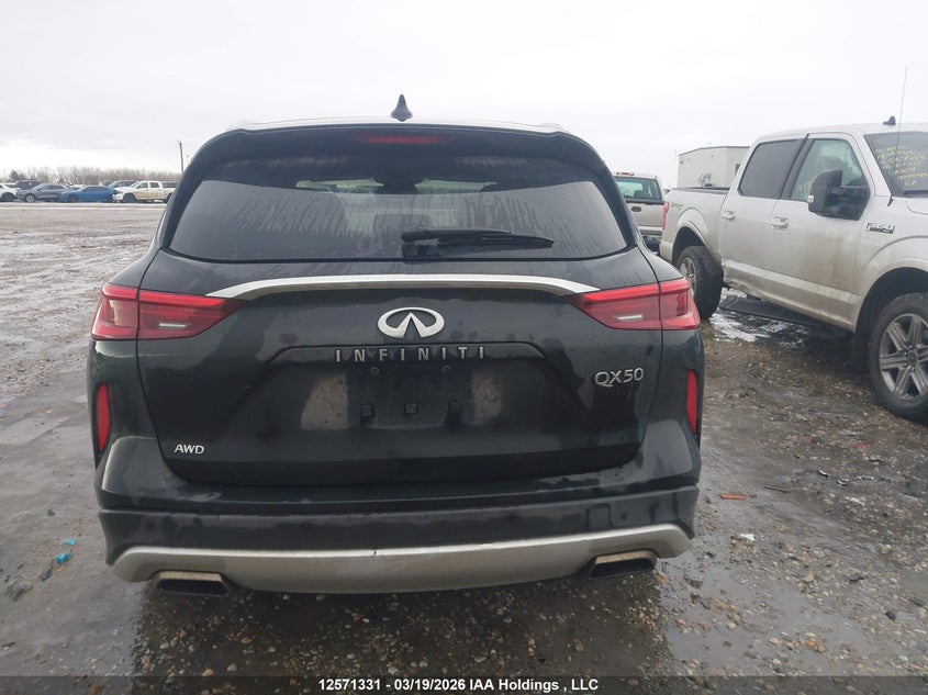 2019 Infiniti Qx50 VIN: 3PCAJ5M38KF143043 Lot: 12571331