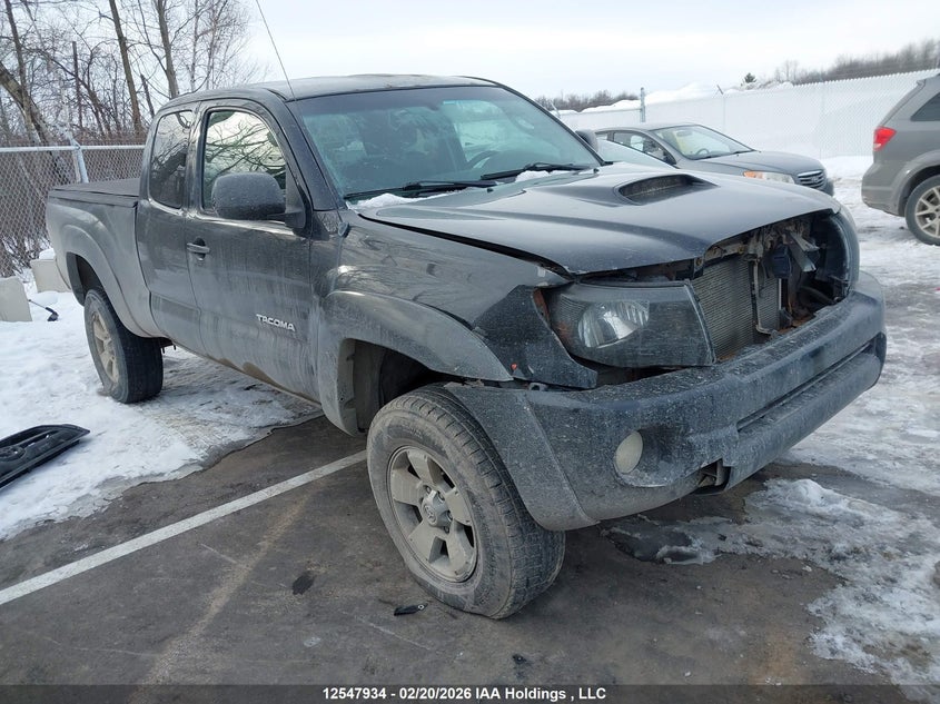 5TEUU42N17Z452457 2007 Toyota Tacoma Base V6 auction photo 1