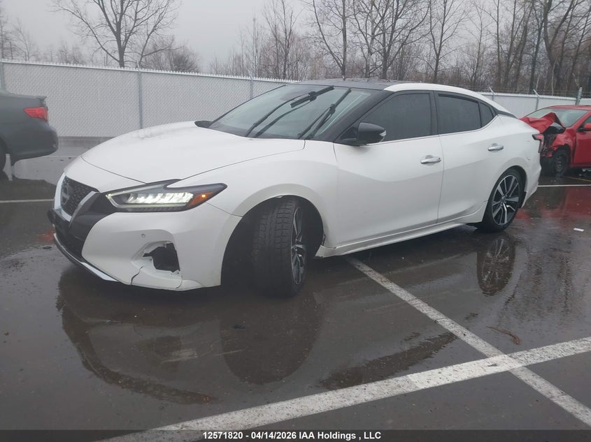 Vin: 1n4aa6dv3pc509587, lot: 2966164, nissan maxima sl 20232