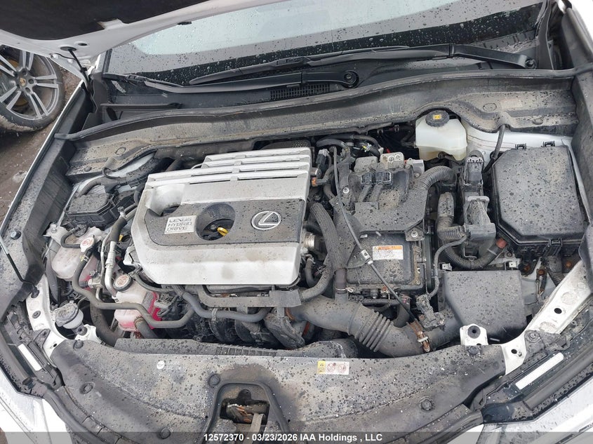 2020 Lexus Ux 250H VIN: JTHR9JBH8L2021594 Lot: 12572370