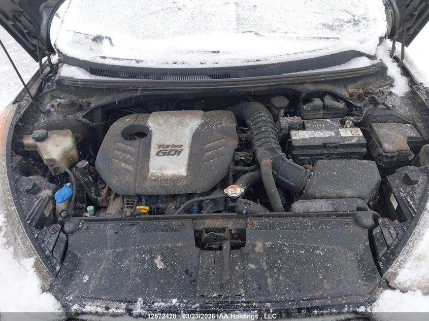 2013 Hyundai Veloster VIN: KMHTC6AE3DU139535 Lot: 12572428