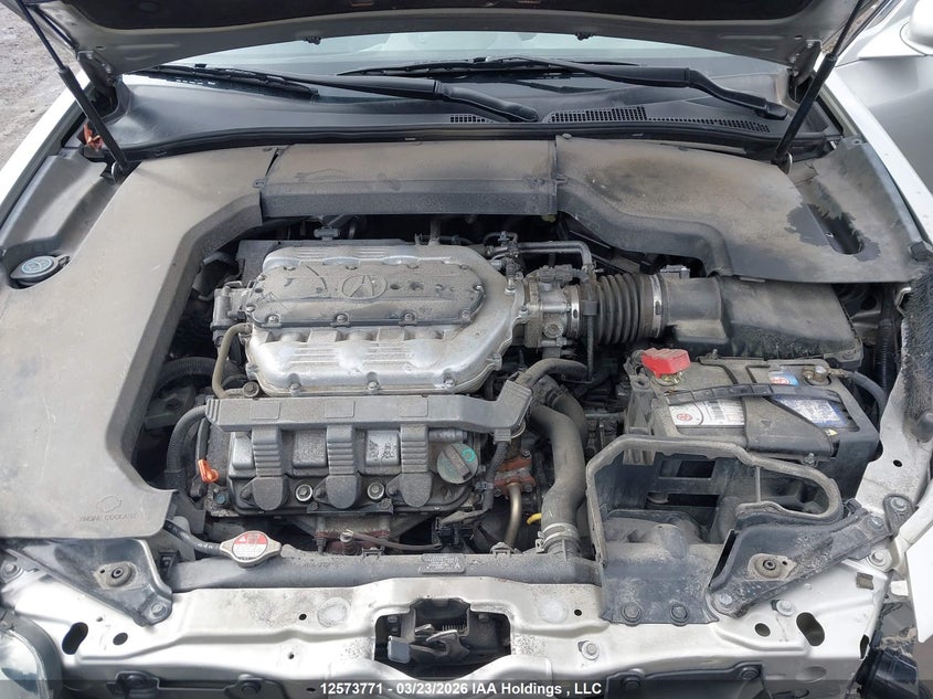 2010 Acura Tl VIN: 19UUA8F50AA800505 Lot: 12573771