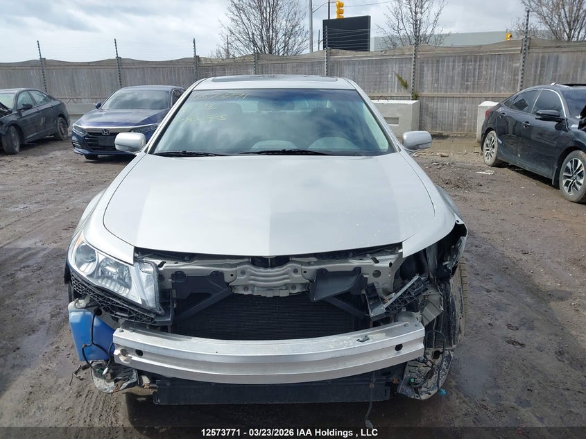 2010 Acura Tl VIN: 19UUA8F50AA800505 Lot: 12573771