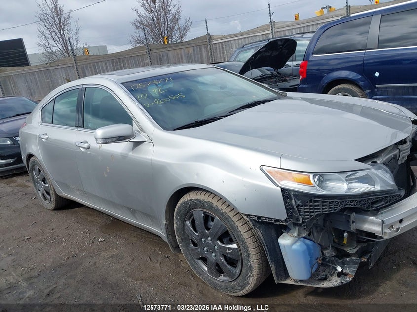 2010 Acura Tl VIN: 19UUA8F50AA800505 Lot: 12573771