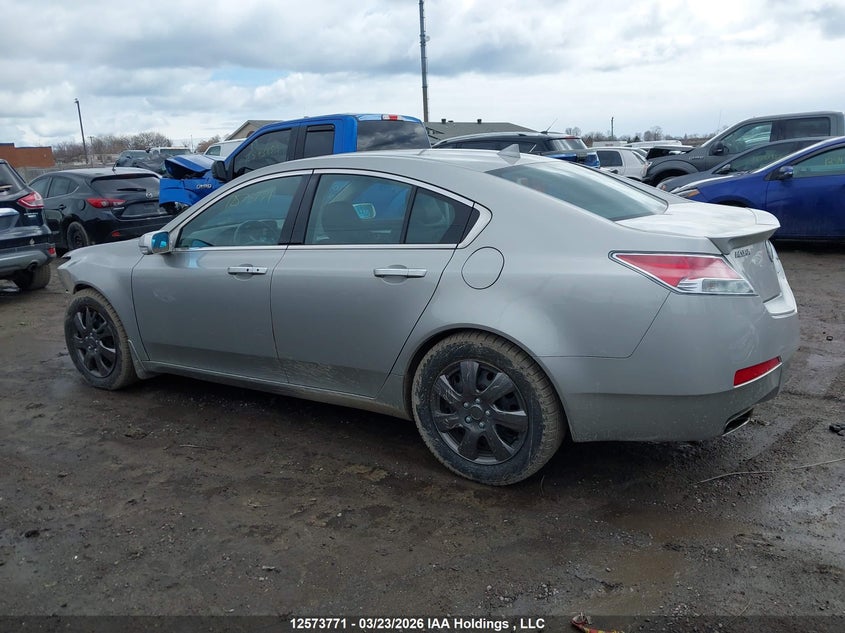 2010 Acura Tl VIN: 19UUA8F50AA800505 Lot: 12573771
