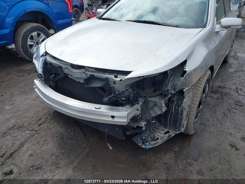 2010 Acura Tl VIN: 19UUA8F50AA800505 Lot: 12573771