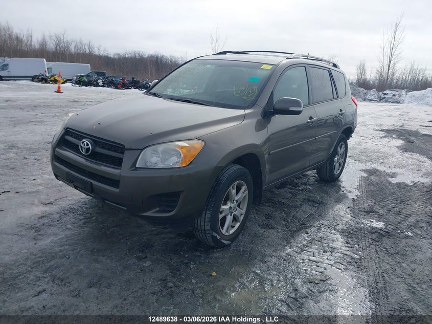 2011 Toyota RAV 4, Удар сзади, IAAI, VIN 2T3BF4DV1BW125365 — фото 2