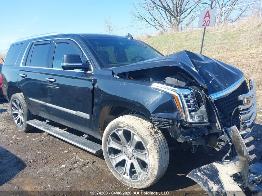 2019 Cadillac Escalade Platinum VIN: 1GYS4DKJ4KR244303 Lot: 12574209