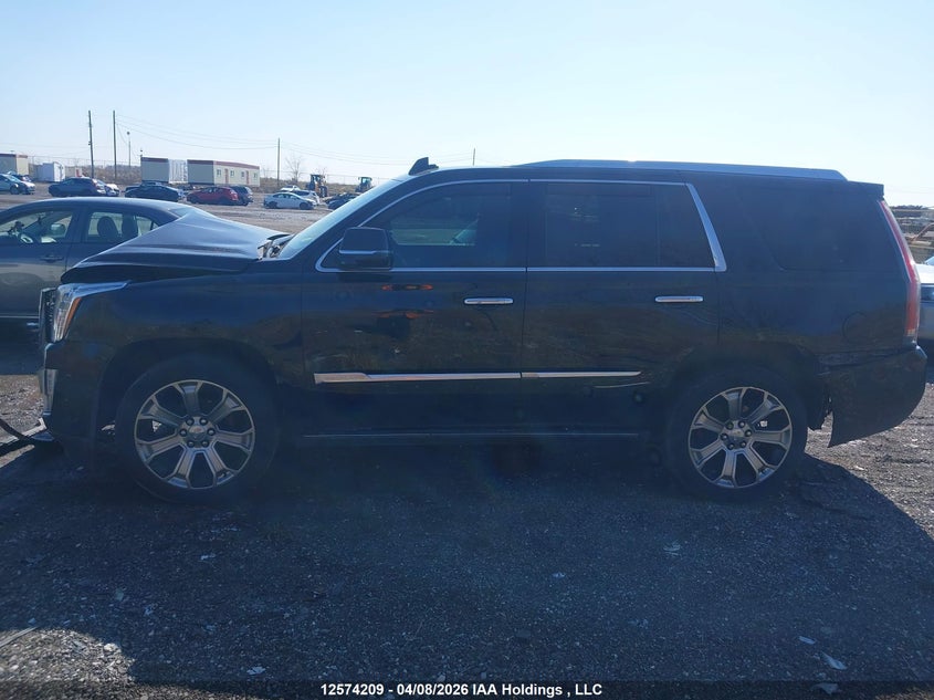 2019 Cadillac Escalade Platinum VIN: 1GYS4DKJ4KR244303 Lot: 12574209