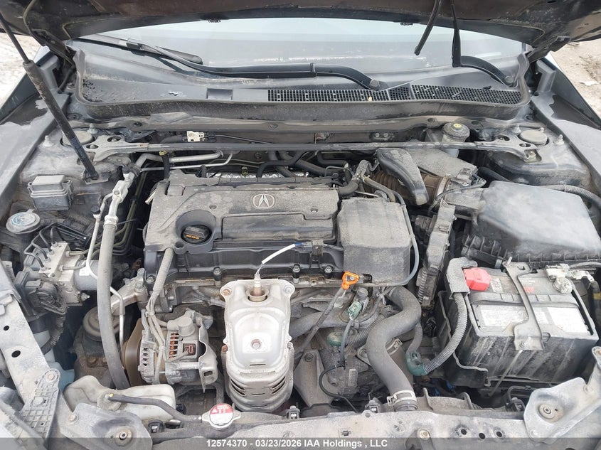 2019 Acura Tlx Technology/A-Spec VIN: 19UUB1F64KA800215 Lot: 12574370