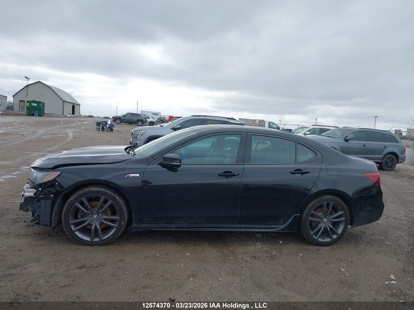 2019 Acura Tlx Technology/A-Spec VIN: 19UUB1F64KA800215 Lot: 12574370
