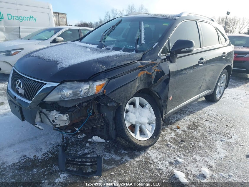 2010 Lexus Rx 350 VIN: 2T2BK1BA1AC001532 Lot: 12574930