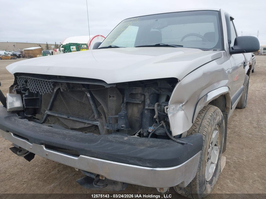 2005 Chevrolet Silverado 1500 Ls VIN: 1GCEC14V25Z319671 Lot: 12575143