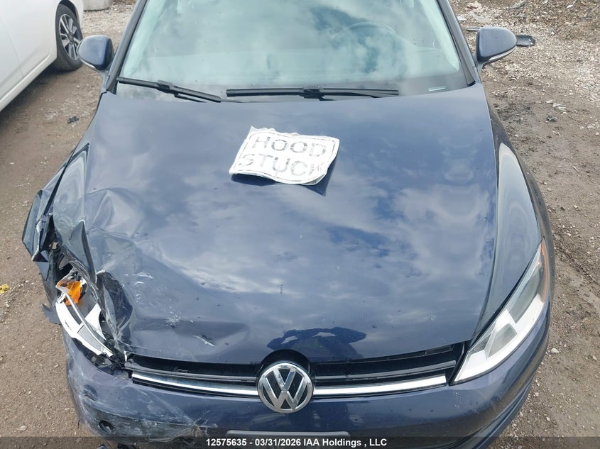 2017 Volkswagen Golf Sportwagen S VIN: 3VWA17AU1HM542256 Lot: 12575635