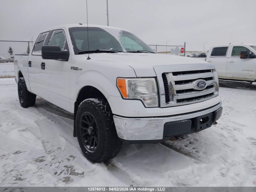 2010 Ford F-150