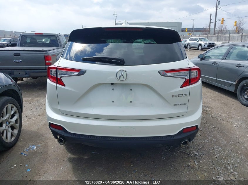 2019 Acura Rdx VIN: 5J8TC2H36KL804742 Lot: 12576029