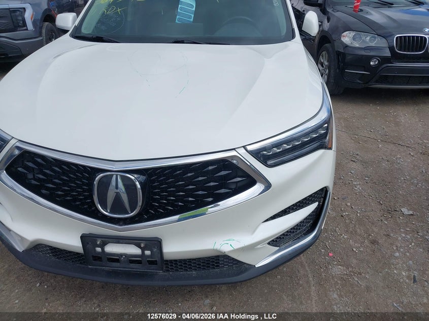 2019 Acura Rdx VIN: 5J8TC2H36KL804742 Lot: 12576029