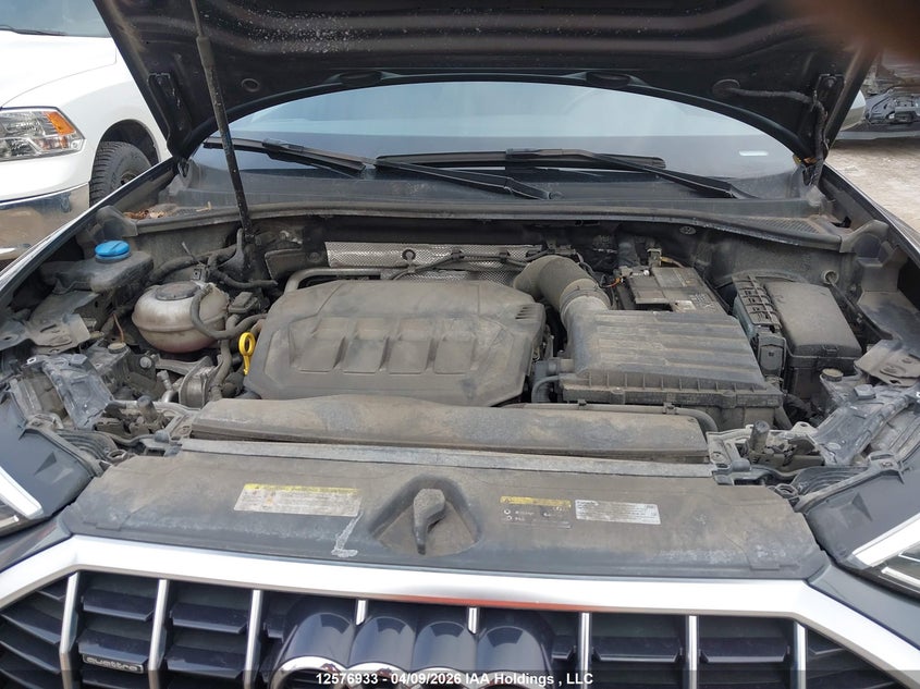 2021 Audi Q3 45 Progressiv VIN: WA1EECF35M1003481 Lot: 12576933