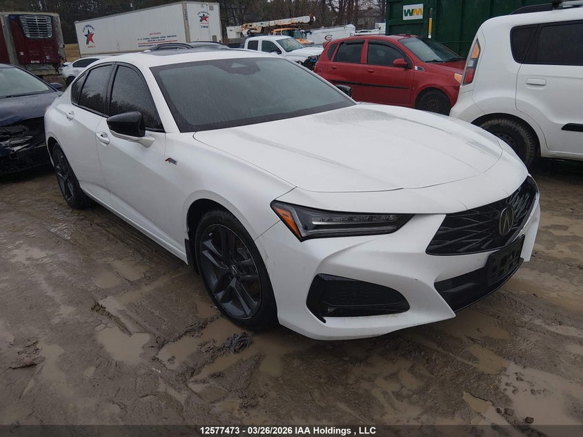 Vin: 19uub6f54ra800052, lot: 2972383, acura tlx a-spec 2024 img_1