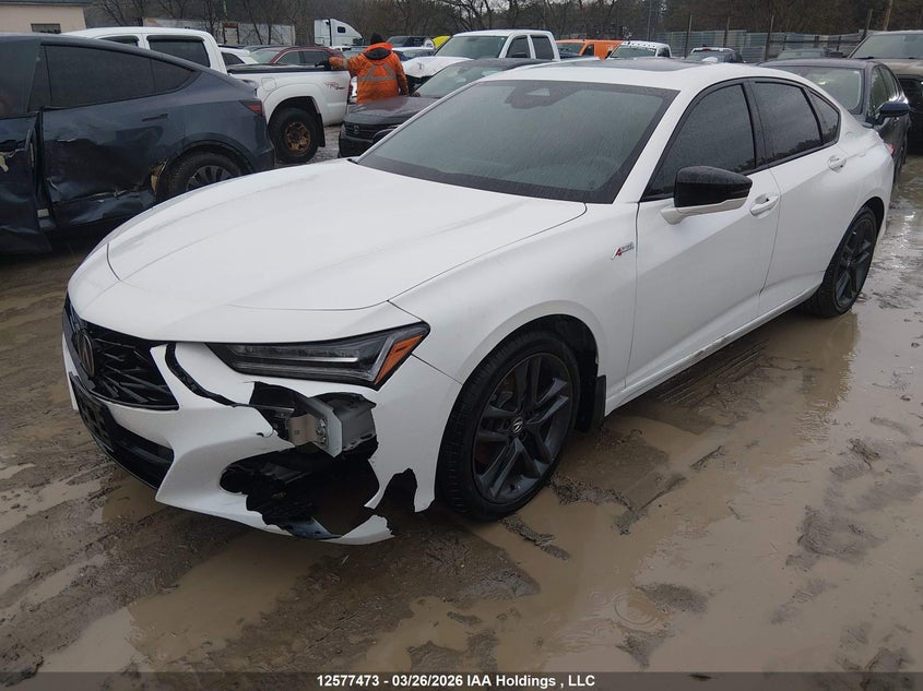 Vin: 19uub6f54ra800052, lot: 2972383, acura tlx a-spec 20242