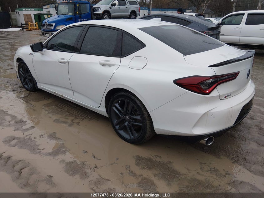 Vin: 19uub6f54ra800052, lot: 2972383, acura tlx a-spec 20243
