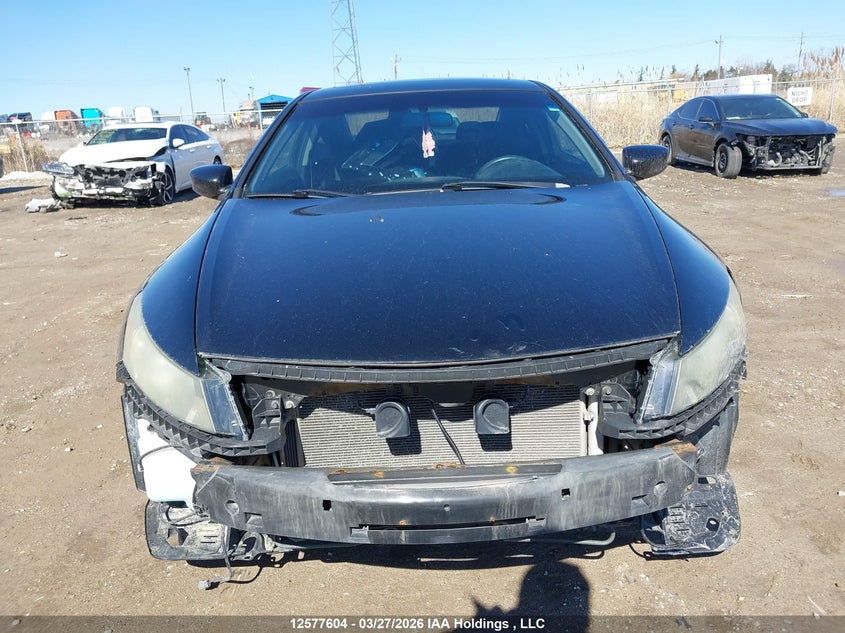 2011 Honda Accord Ex-L V6 VIN: 1HGCS2B85BA800488 Lot: 12577604