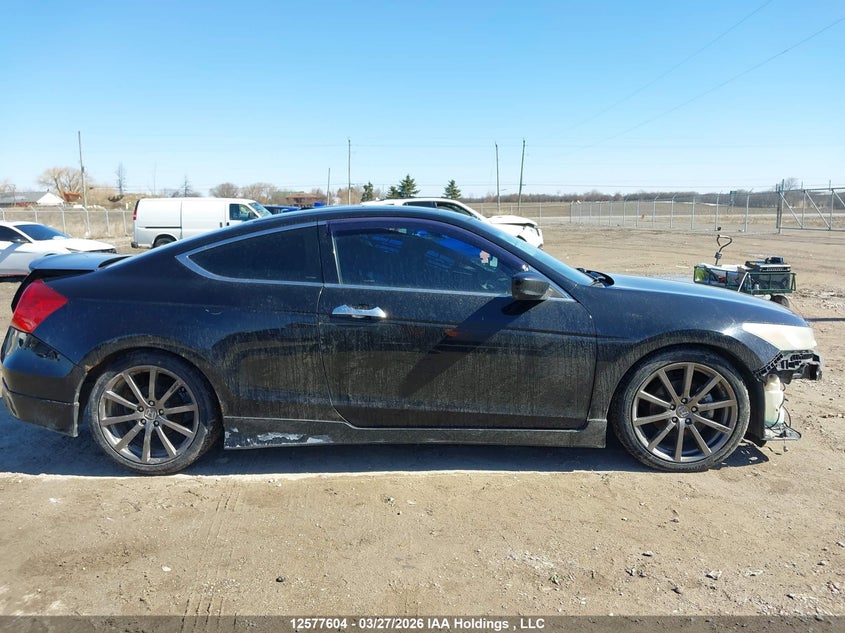 2011 Honda Accord Ex-L V6 VIN: 1HGCS2B85BA800488 Lot: 12577604