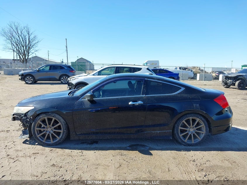 2011 Honda Accord Ex-L V6 VIN: 1HGCS2B85BA800488 Lot: 12577604