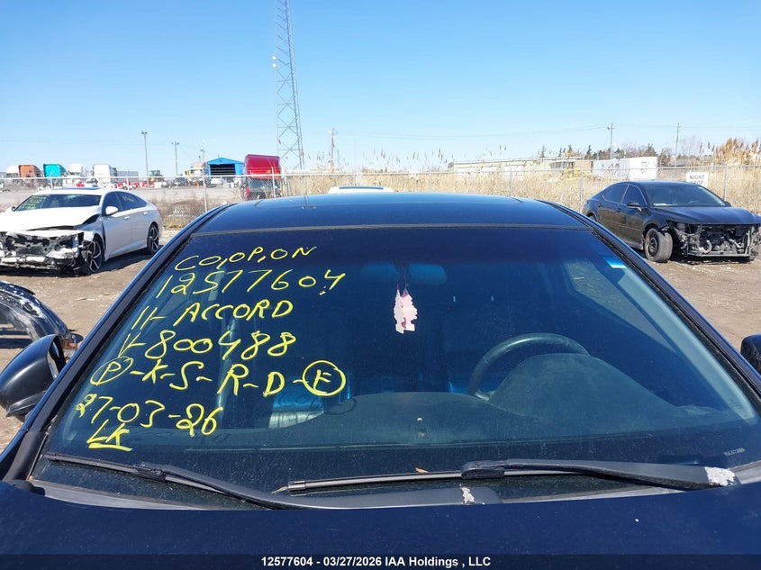 2011 Honda Accord Ex-L V6 VIN: 1HGCS2B85BA800488 Lot: 12577604