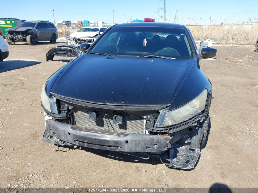 2011 Honda Accord Ex-L V6 VIN: 1HGCS2B85BA800488 Lot: 12577604