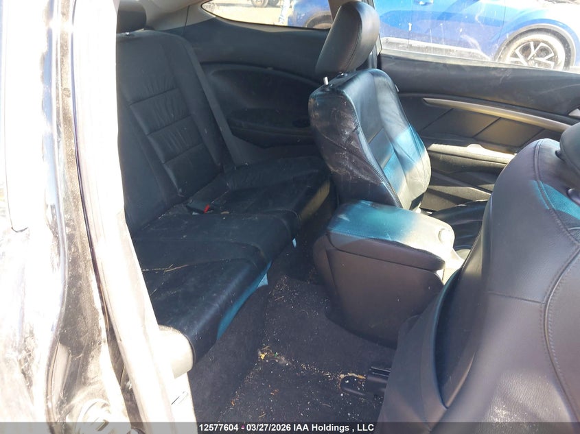 2011 Honda Accord Ex-L V6 VIN: 1HGCS2B85BA800488 Lot: 12577604