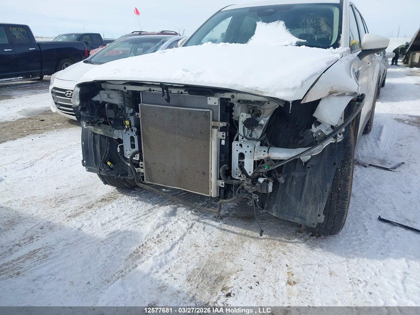 2024 Mazda Cx-90 Mhev Gs-L VIN: JM3KKCHD4R1146184 Lot: 12577681