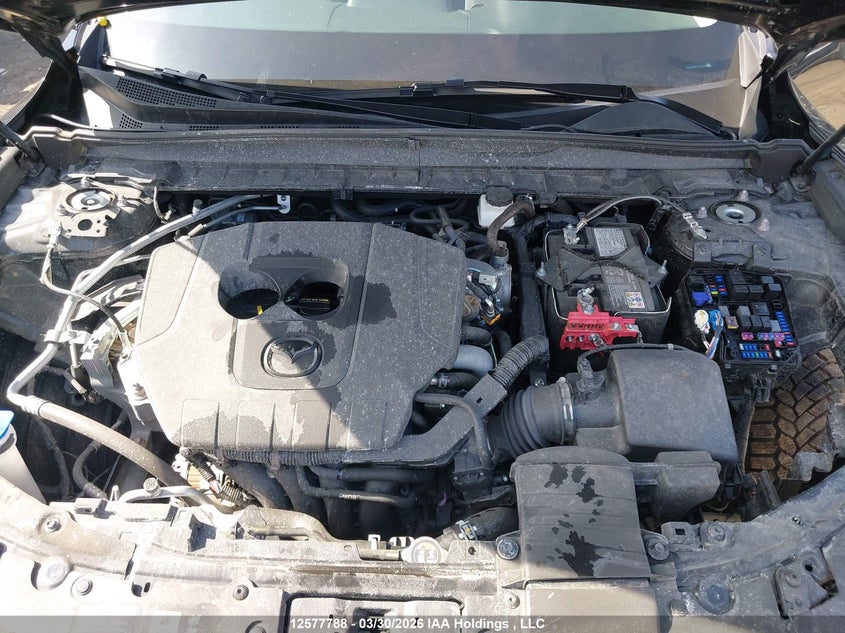 2025 Mazda Cx-50 VIN: 7MMVABCMXSN345359 Lot: 12577788