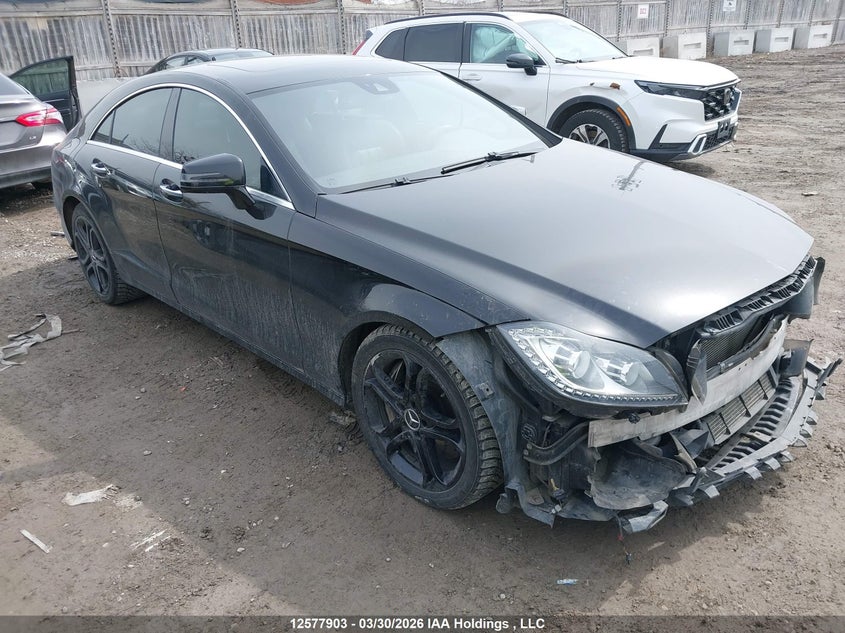 WDDLJ9BB8DA069621 2013 Mercedes-Benz Cls 550 auction photo 1